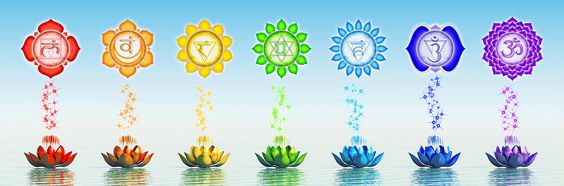 chakras lotus