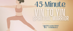 Vin to Yin  Spiritual Warrior