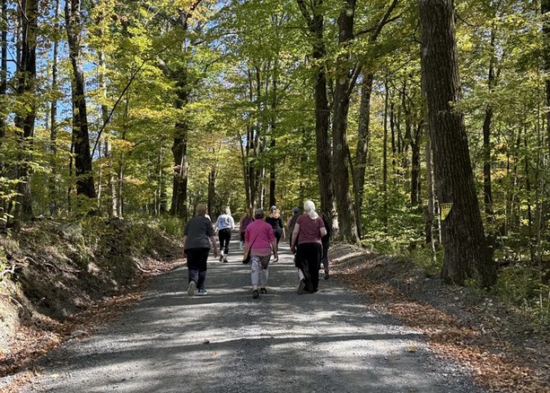 Walking the woodland trails