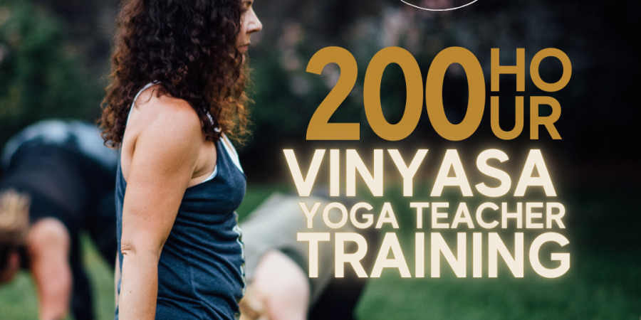 200 hour vinyasa yoga teacher training